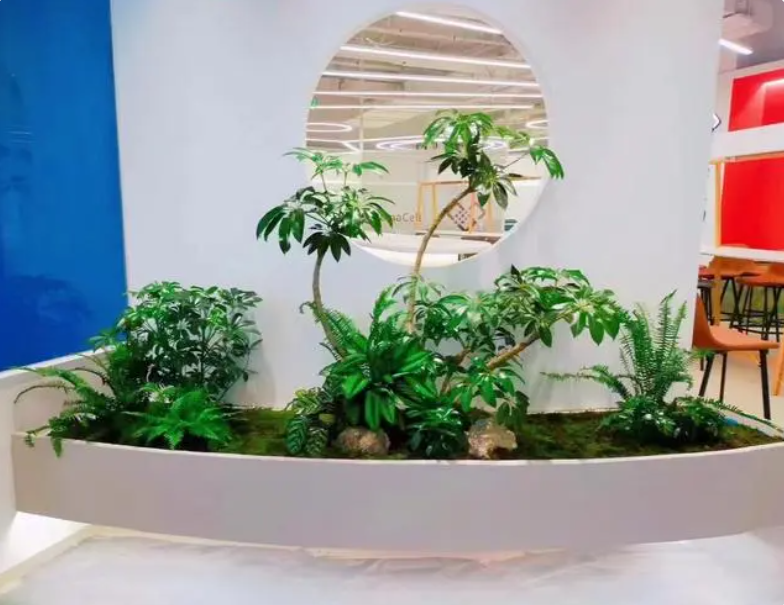 QQ截图20240523155515